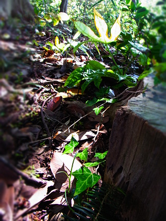 R0014204