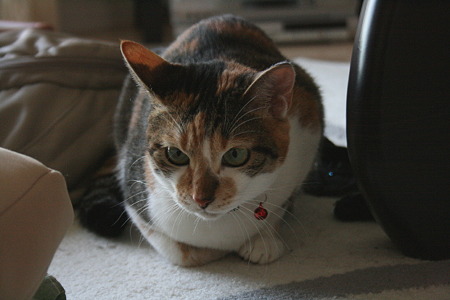 2010091901