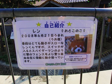 大牟田<b>市動物園</b>のレッサーパンダなど - て～げ～、て～げ～ なんくる <b>...</b>