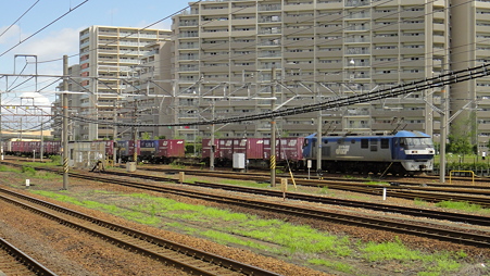 DSC00295