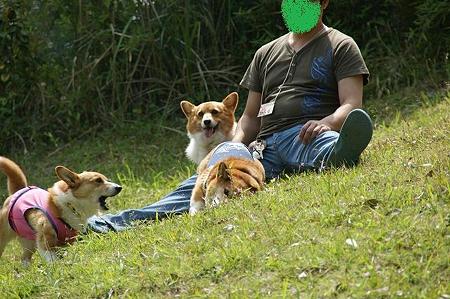 DSC00129