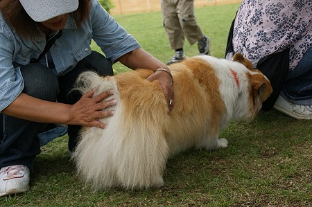 DSC00544
