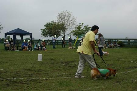 DSC01371