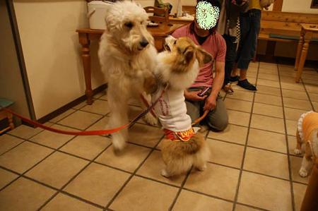 DSC01470