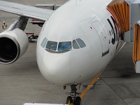 JAL機