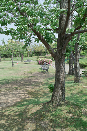 Kanazawa_Jouhoku_Undoukouen05212011dp2-03