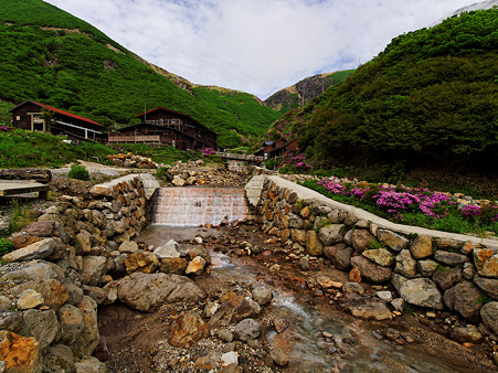 UZ120433_raw