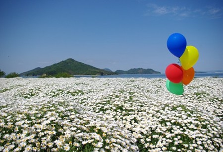 IMGP2011_0512