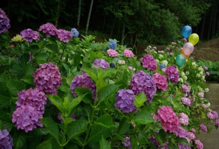 IMGP0041_0617