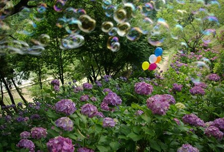 IMGP0061_0617