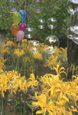 IMGP1868_0917