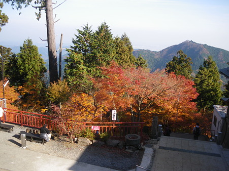 IMGP7257