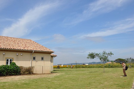 DSC_5337d9L