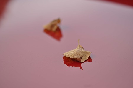 DSC_5706d9LL