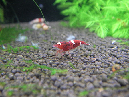 2011 01/28 002