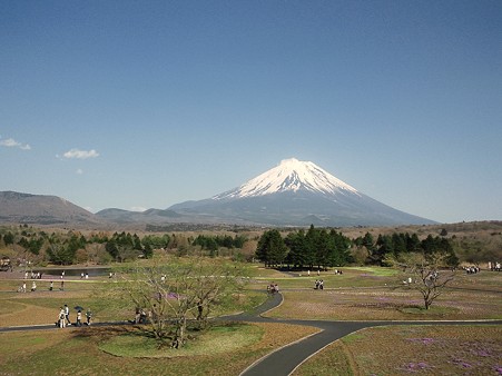 会場からの富士山@富士芝桜まつり2011