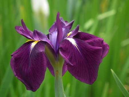 DSCF0189