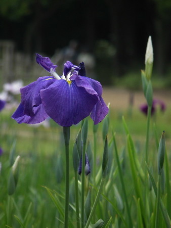 DSCF0317