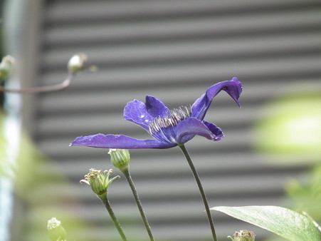 DSCF0033