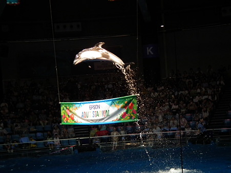 品川水族館 050