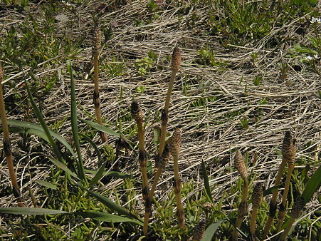 P5122269