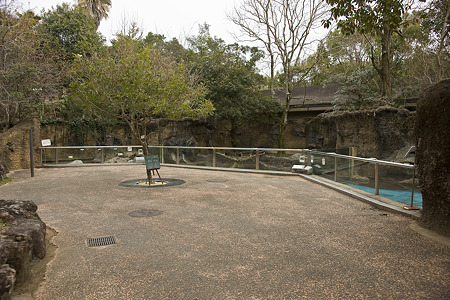 noichi110312542