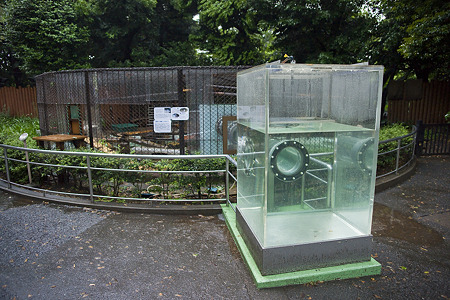 ueno110524008