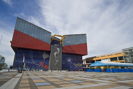 kaiyukan110918001