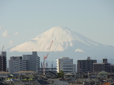 RIMG0319