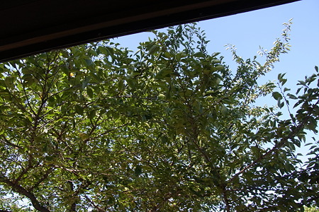 R0012500