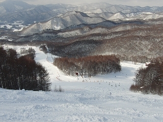 CIMG8261