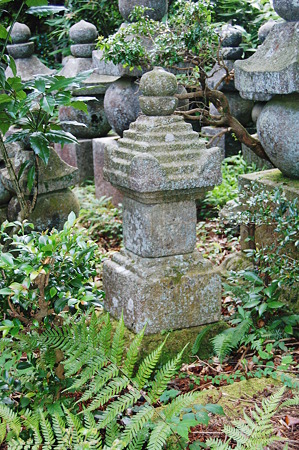 2010年08月15日_DSC_0358
