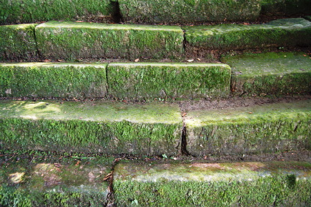 2010年08月15日_DSC_0364