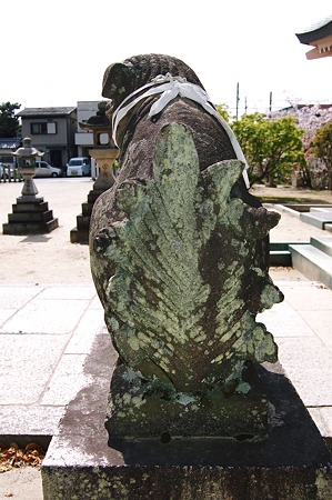 2011年04月17日_DSC_0194