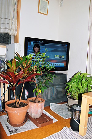 2011年07月18日_DSC_0988