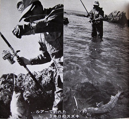 西山徹著 海のルアー・フィッシング | 人魚はご機嫌ななめ♪