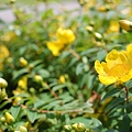 Photos: 20110604_120550