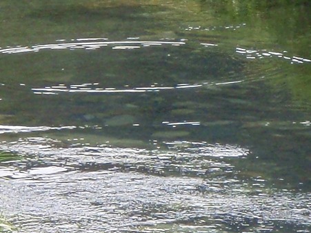 PA070033
