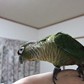 Photos: IMG_0258