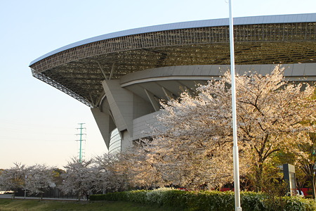 埼スタ北門付近