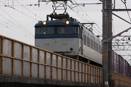 IMGP8447