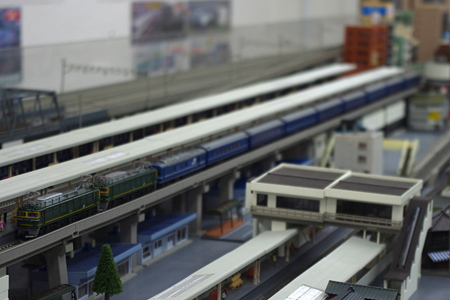 IMGP9545