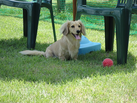 DSC00507