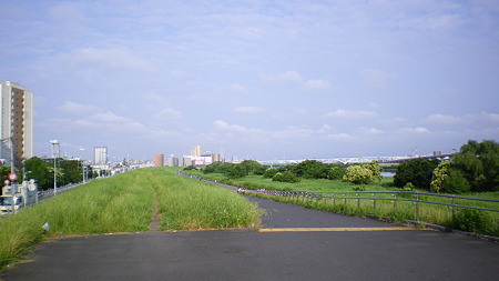 IMGP5447