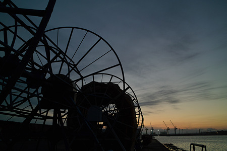 SDIM0795