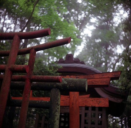 Image0038（Ricohflex New Dia）