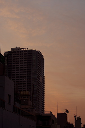 IMGP0211