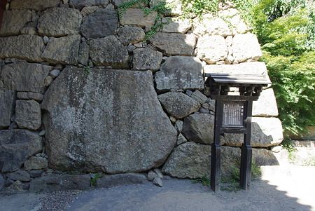 IMGP4924