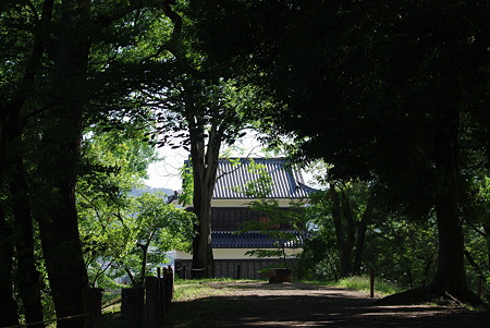 IMGP5084