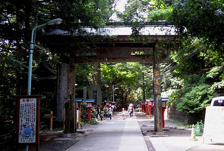 DSCN3506